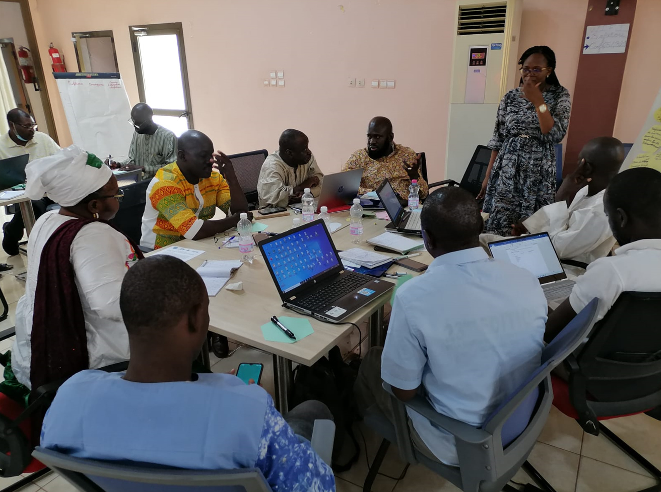 Atelier national de validation de l'analyse diagnostique transfrontalière (ADT) pour la portion nationale du bassin de Taoudéni et mise en place des sites pilotes au Mali (Bamako/Mali, 4 - 6 juillet 2022)