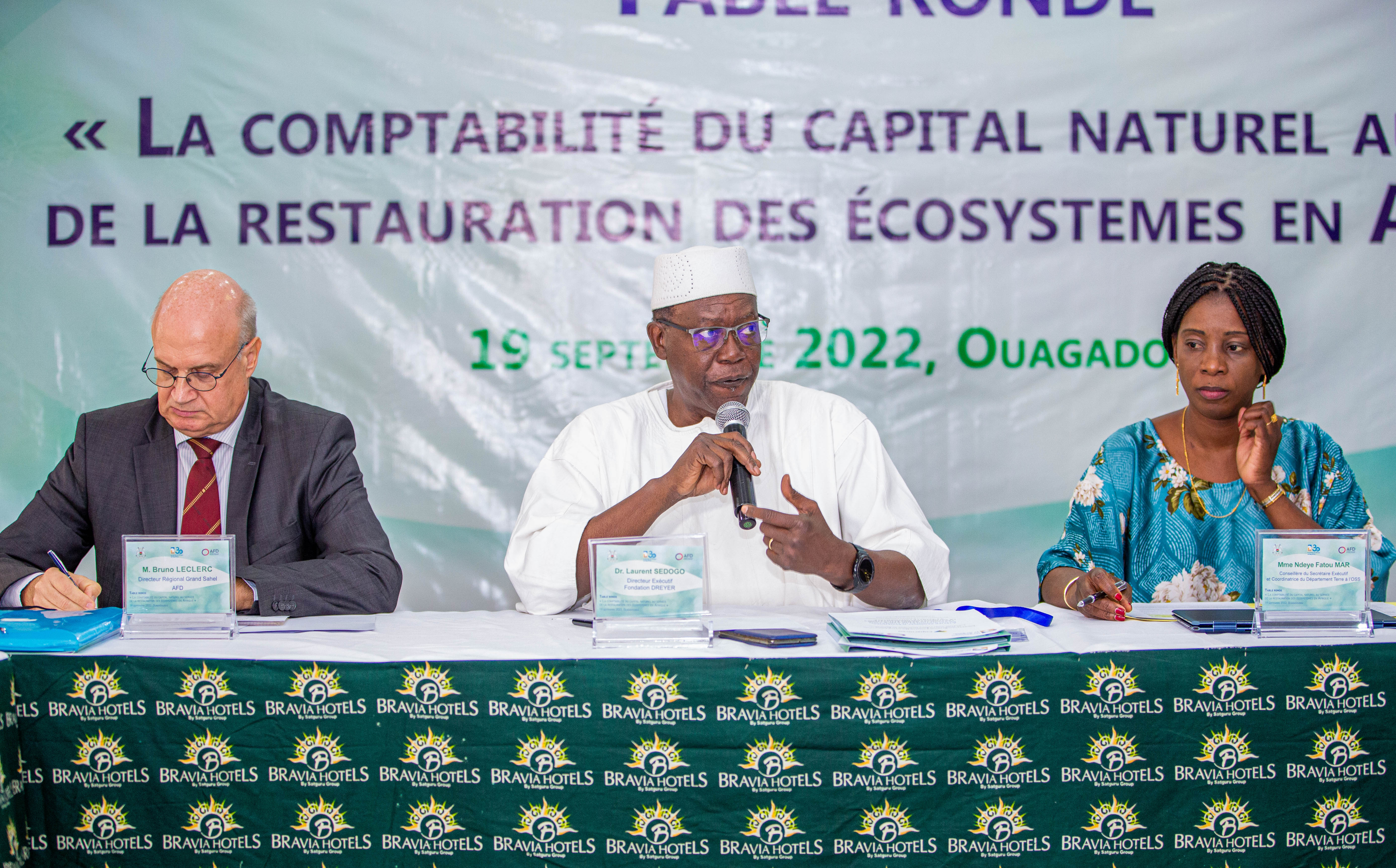 Table ronde gestion durable du capital naturel en Afrique