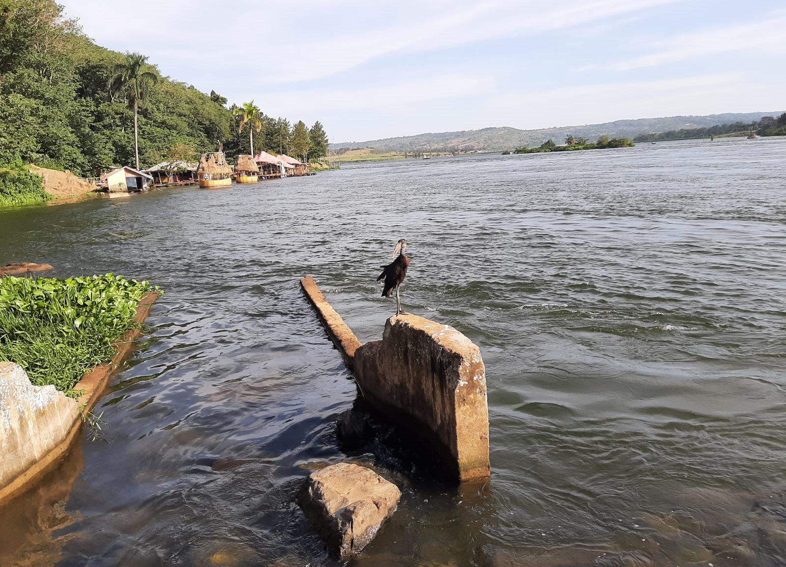 Réunion de Haut niveau - Initiative du Bassin du Nil