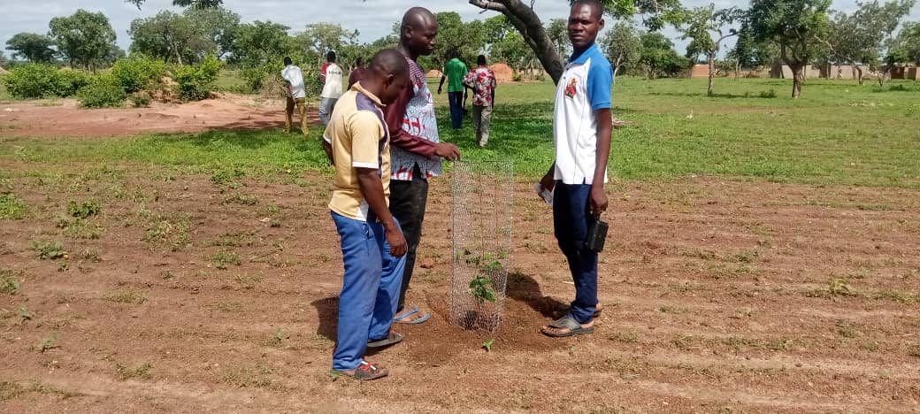 AdaptWAP Burkina Faso - mission de suivi des activités de reboisement  