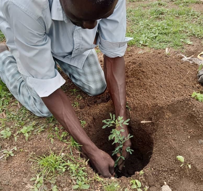  Au Burkina Faso, les producteurs de la région de Fada bénéficient de sessions formatrices en reboisement et régénération naturelle assistée