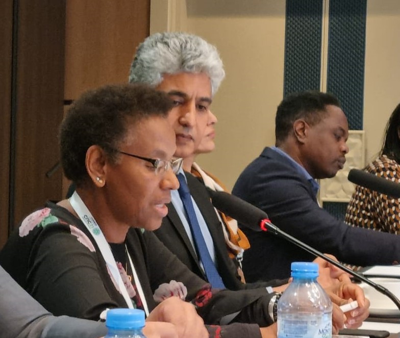 L’Observatoire du Sahara et du Sahel au CRIC 21 de l’UNCCD, Samarcande, 13-17 novembre 2023