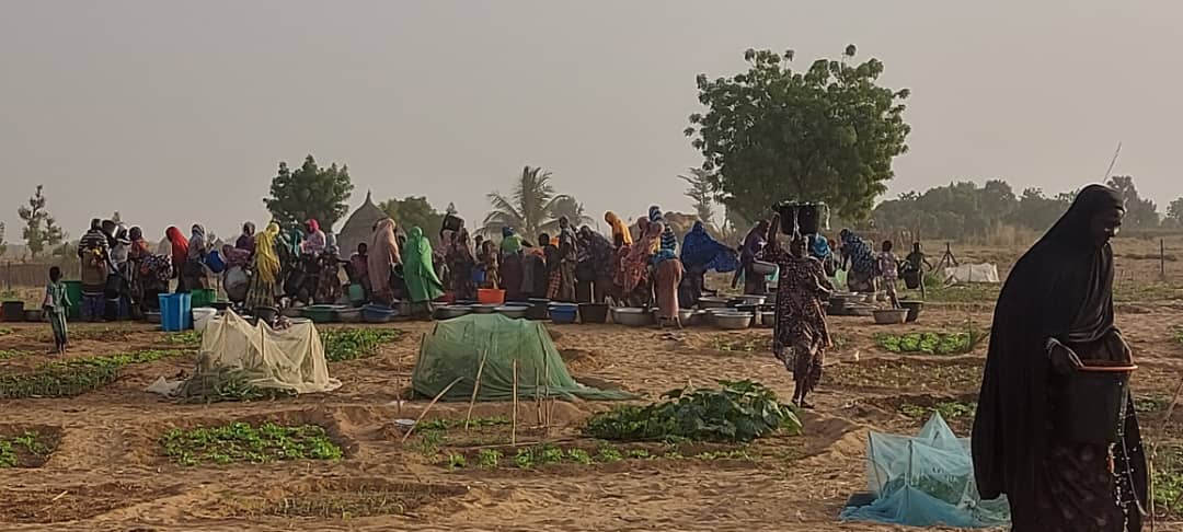 Soutien florissant pour les femmes de falmey (Niger) dans le cadre du projet AdaptWAP