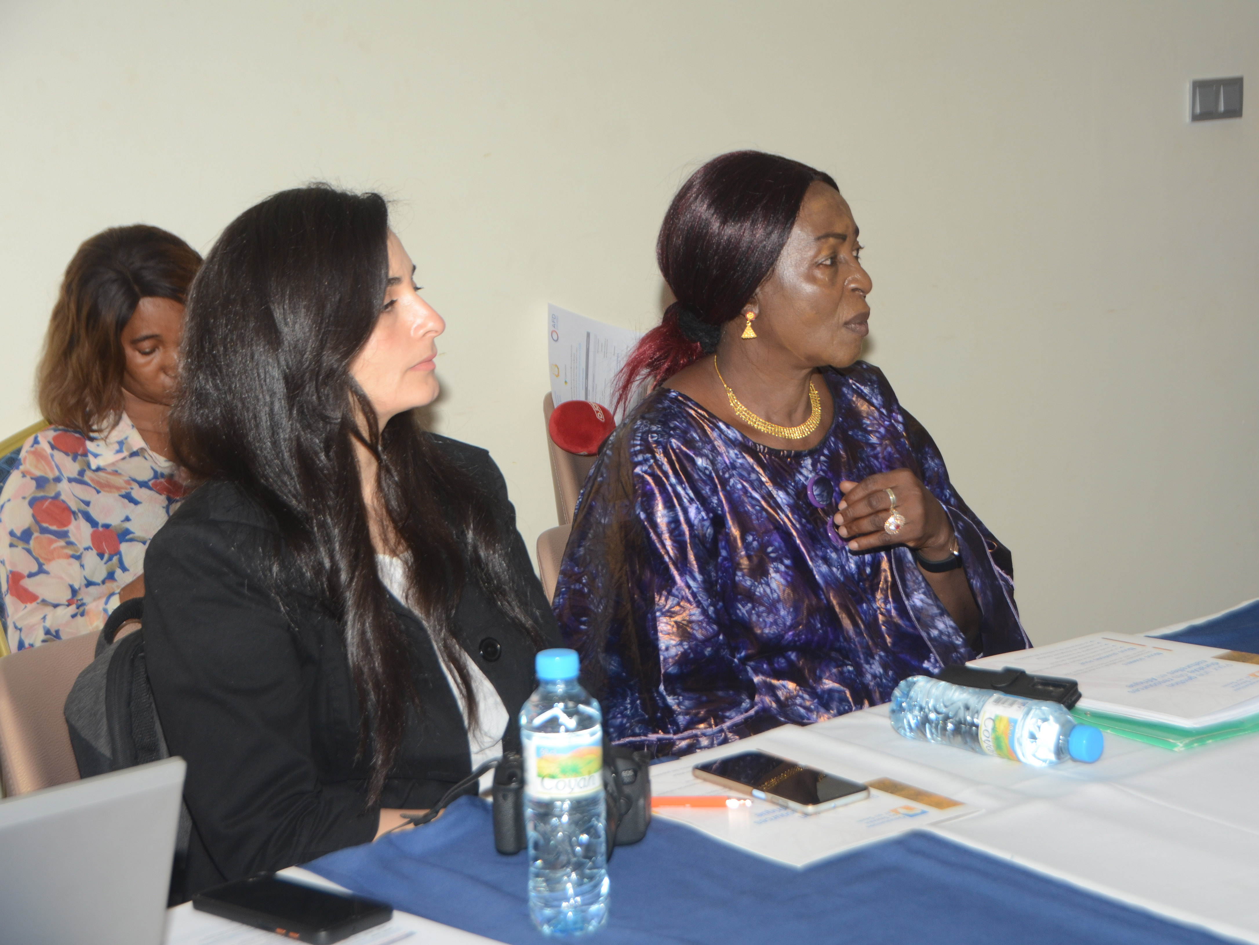 Atelier national de sensibilisation et de formation sur la CECN, Guinée Conakry