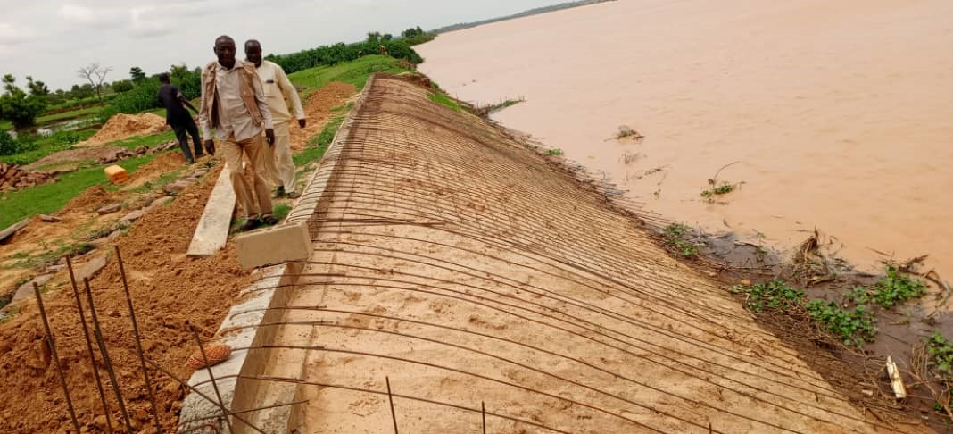  AdaptWAP Project: Enhancing Infrastructure in Darey Bangou and Guéimé for a Sustainable Future