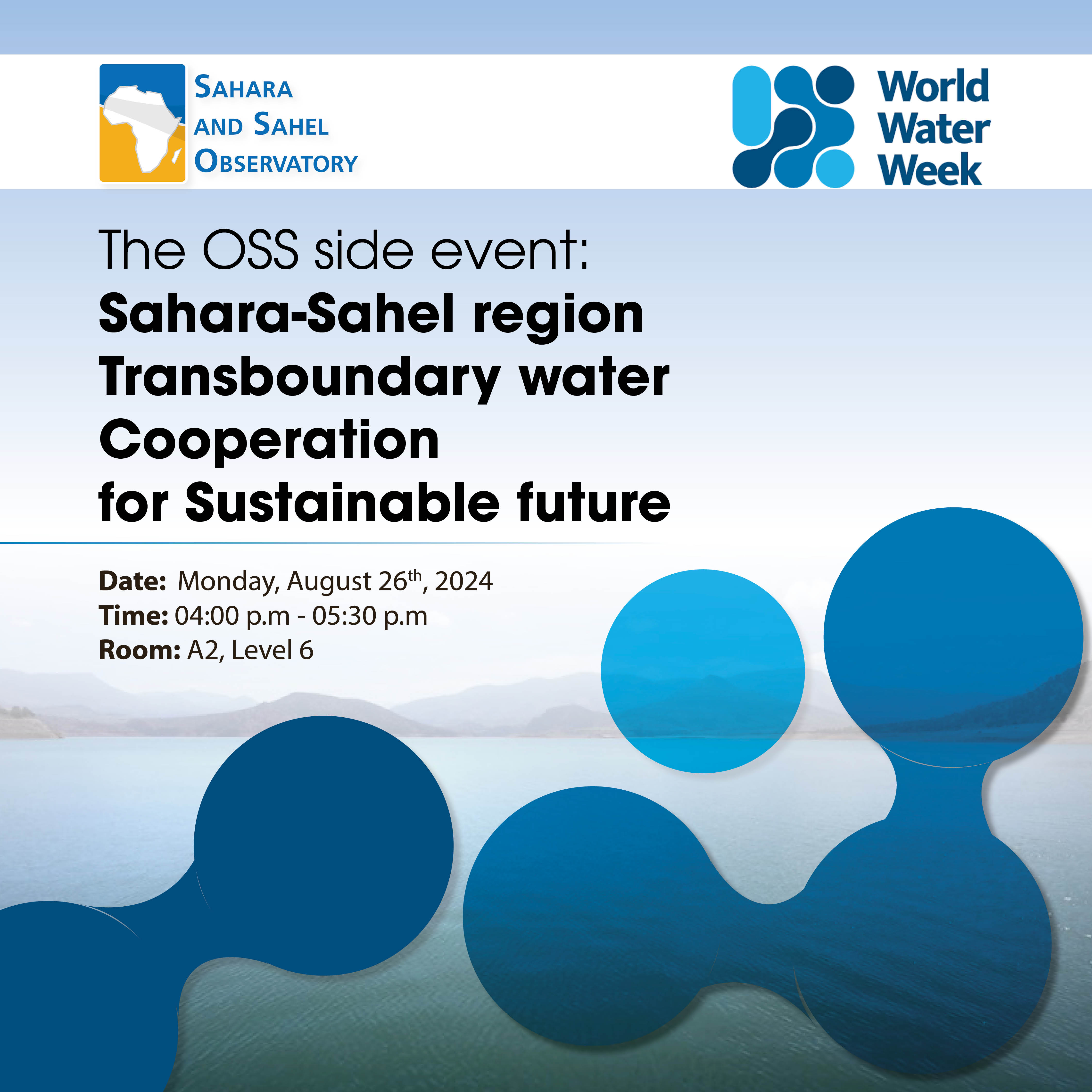  Strengthening Transboundary Water Cooperation in the Sahara and Sahel for a Sustainable Future