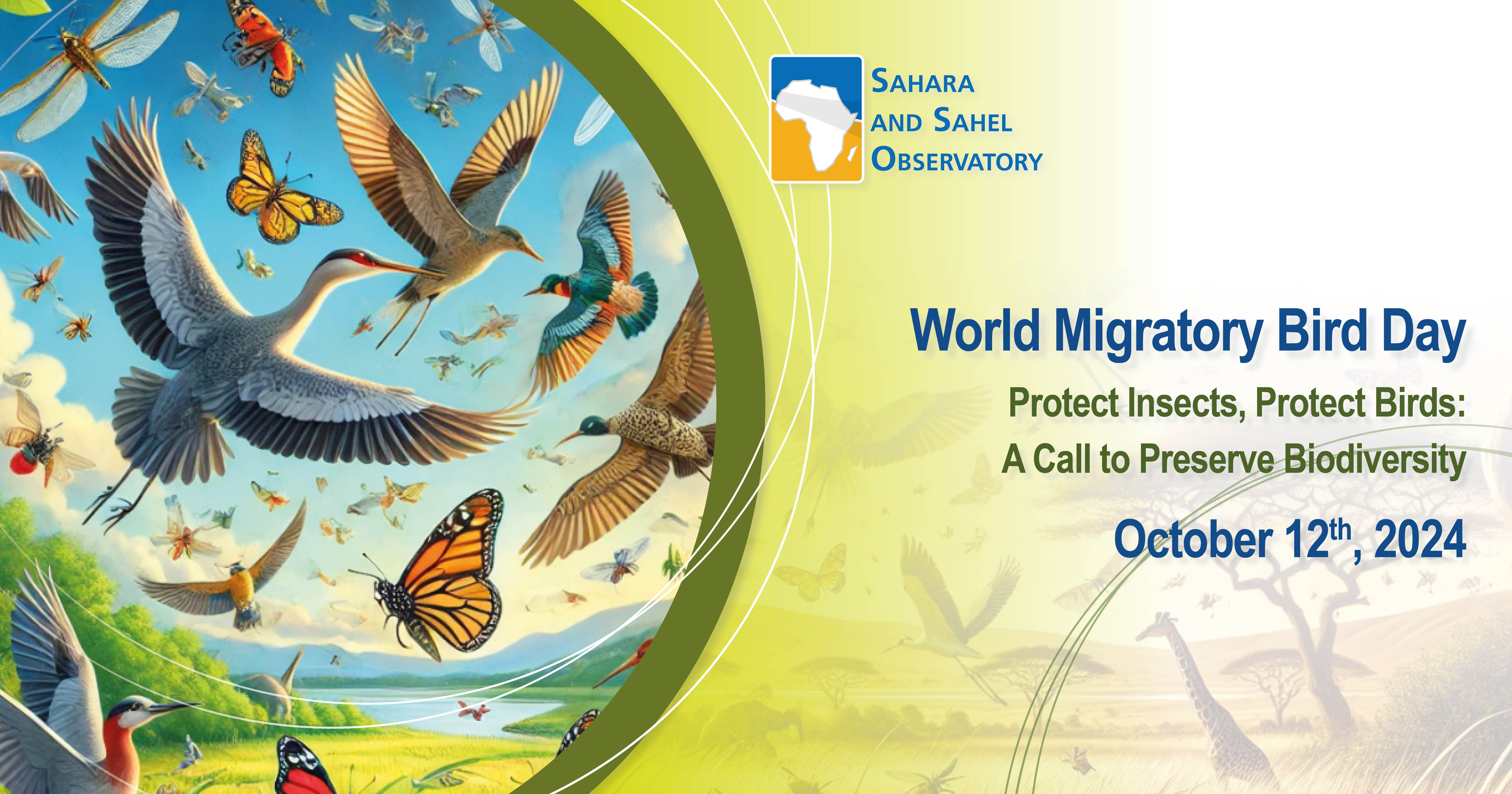 World Migratory Bird Day - October 12, 2024 