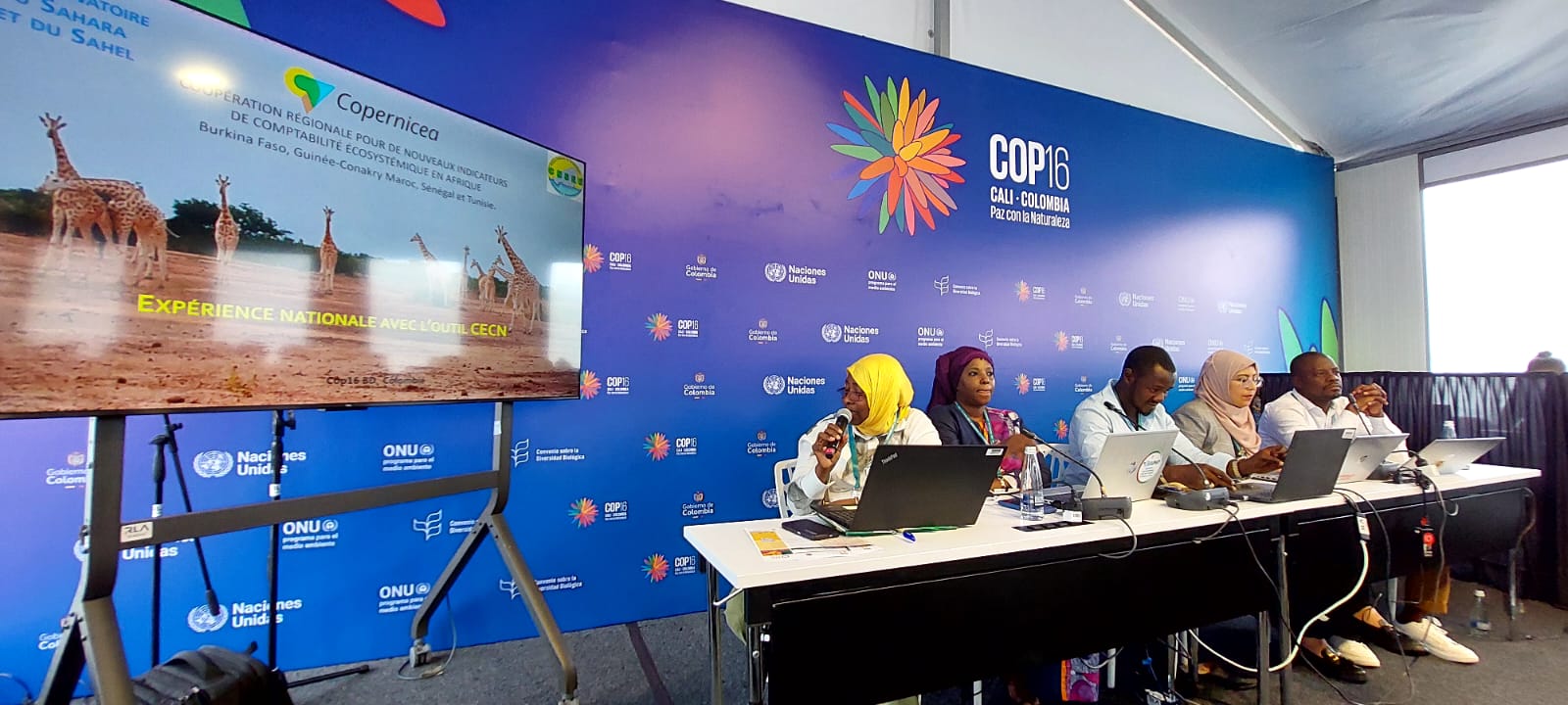 COP16 Biodiversité- Evènement parallèle sur le renforcement de la collaboration régionale pour la conservation de la biodiversité en Afrique - Cali, Colombie, 24 octobre 2024