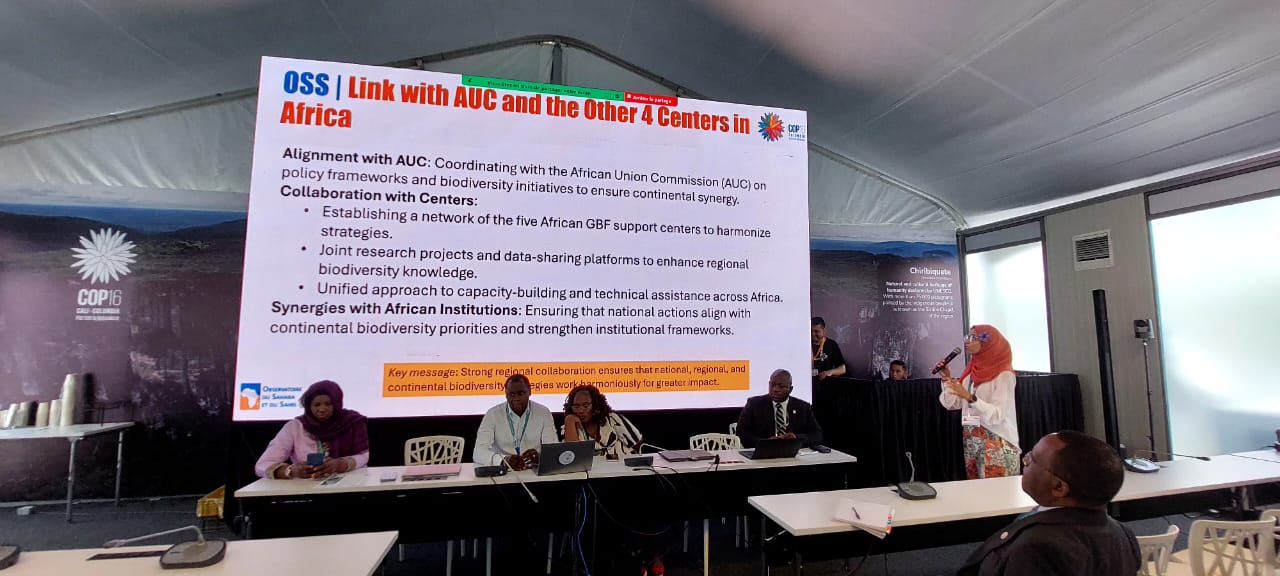 COP16 - side event on Strengthening Regional Collaboration for Biodiversity Conservation in Africa, Cali, Colombia, October 24, 2024