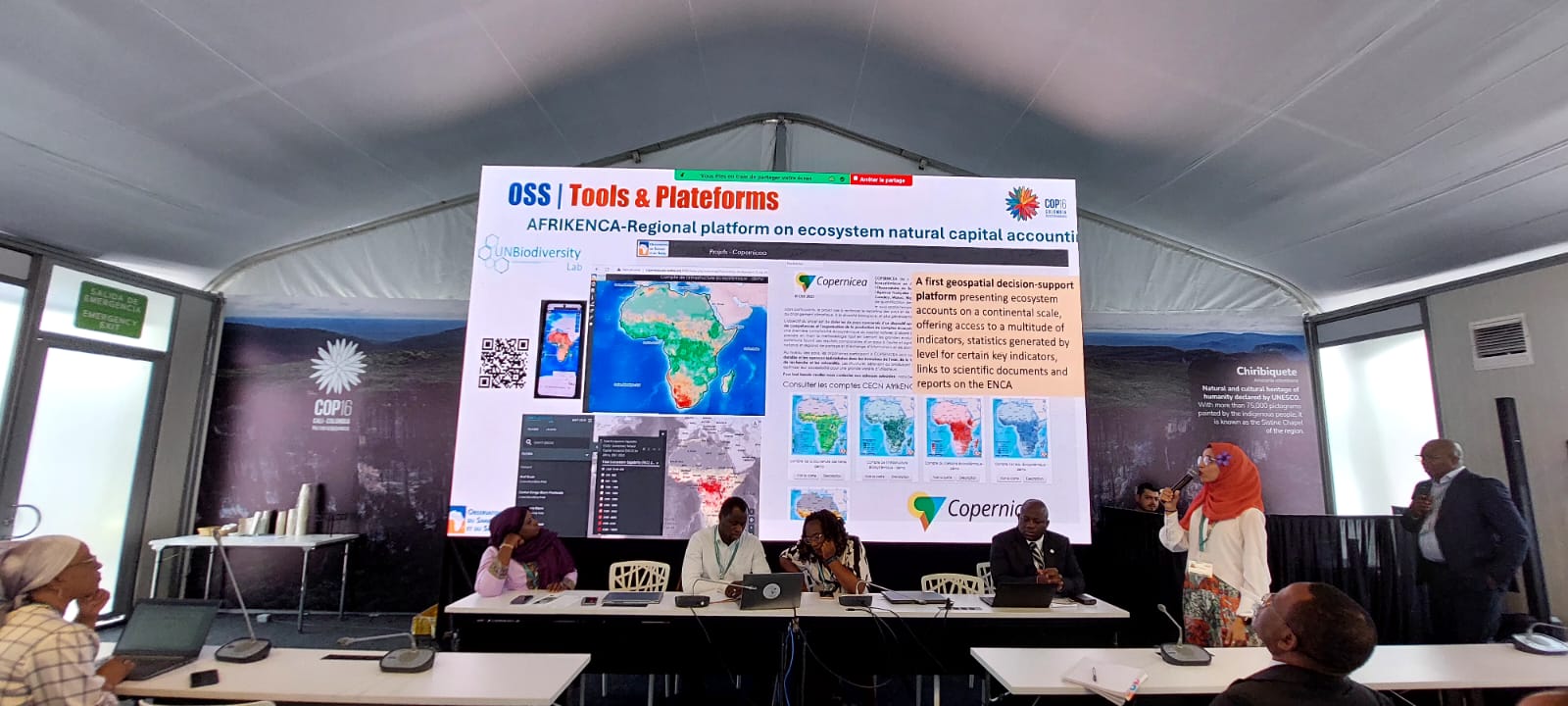 COP16 - side event on Strengthening Regional Collaboration for Biodiversity Conservation in Africa, Cali, Colombia, October 24, 2024